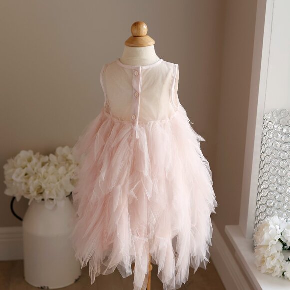 Tutu Du Monde Pink Tulle Dress Silver Sequins Beads Party Portrait 12-18 Months - Picture 2 of 8